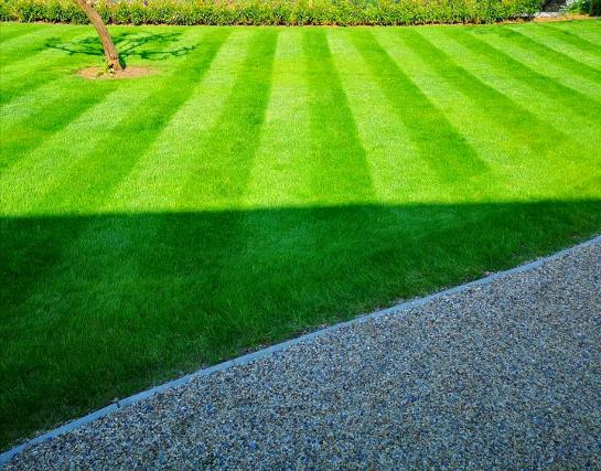 garden maintenance
