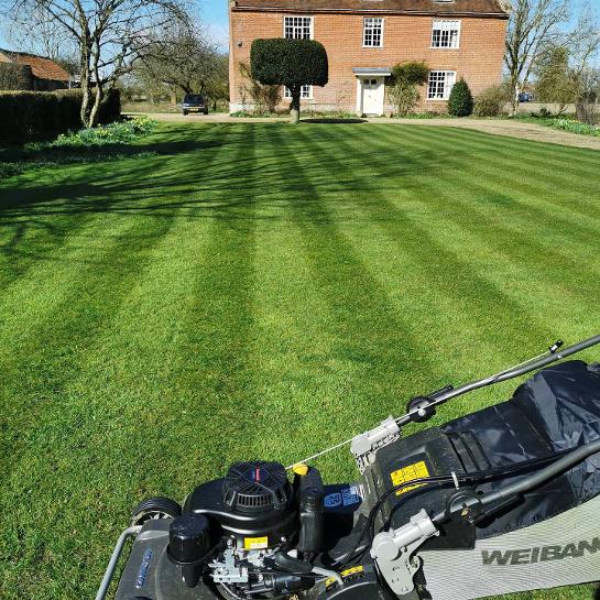 grass cutting